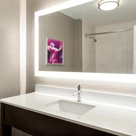 La Quinta By Wyndham Arlington North 6 Flags Dr-3