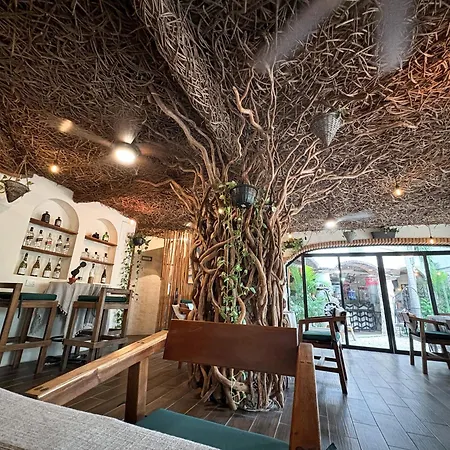 Enigmatic Boutique Hotel-3