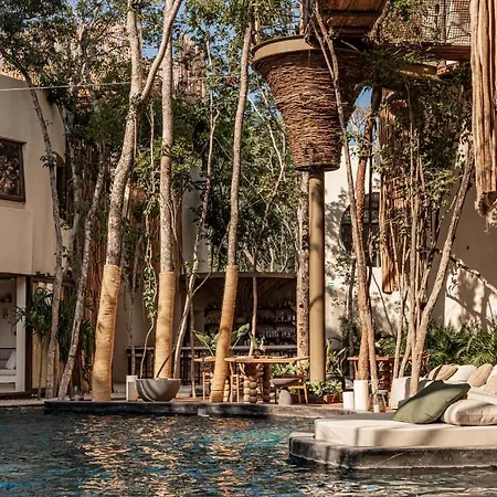 Taio Tulum-2
