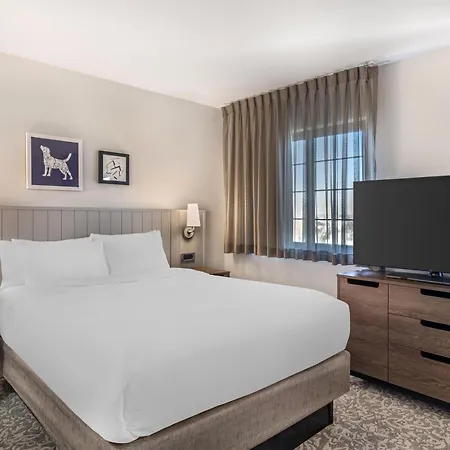 Sonesta Es Suites Anaheim Resort Area-2