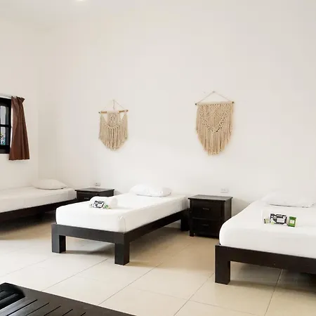 We Playa Hotel - Adults Only-3