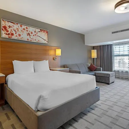Radisson Hotel & Conference Centre Calgary Airport-3