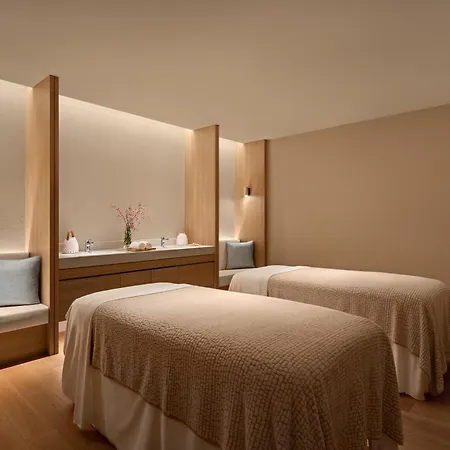The Laurus, A Luxury Collection Resort, Singapore-3