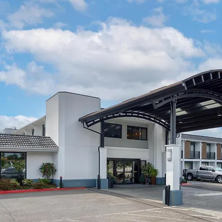 Best Western Seattle Airport Hotel-3