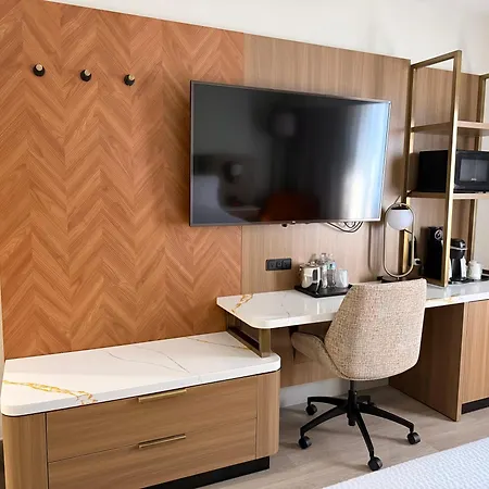 Holiday Inn Houston Downtown By Ihg-3