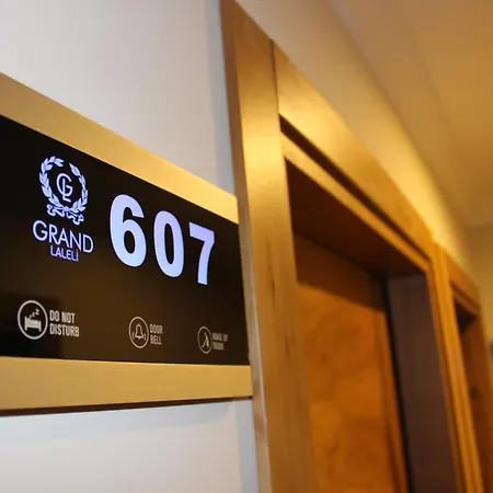 Grand Laleli Hotel-2