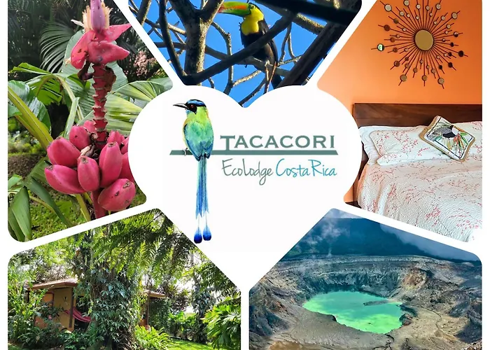 Tacacori Ecolodge Alajuela