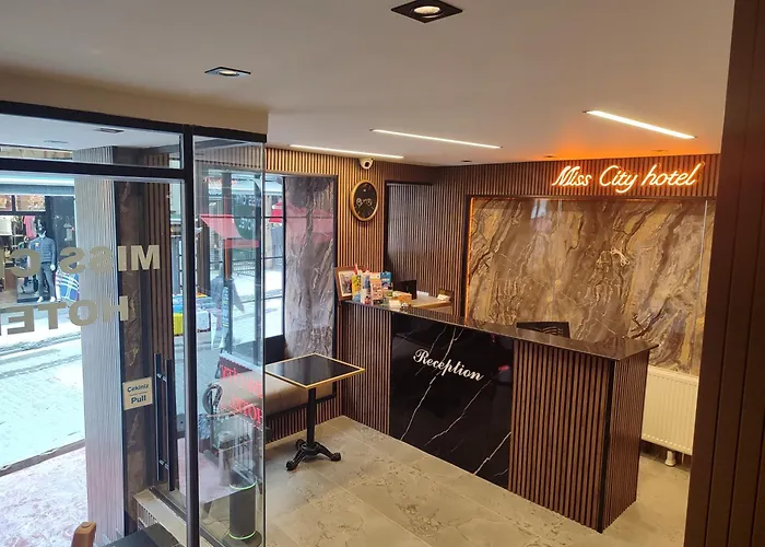 Miss City Hotel Taksim Istanbul