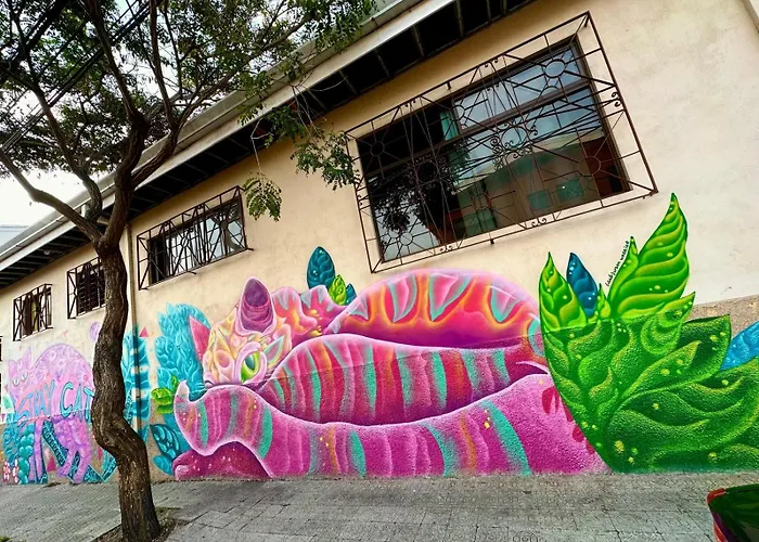 Stray Cat Hostel San Jose 