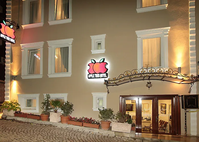 Apple Tree Hotel Istanbul