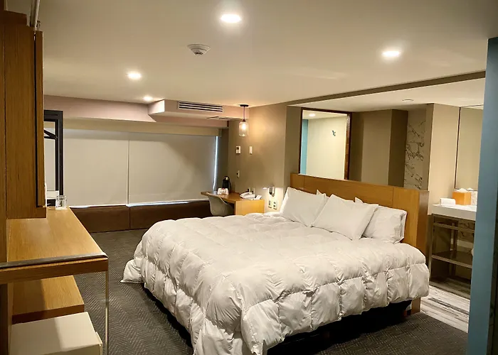 Hotel Cle Reforma Insurgentes Mexico City