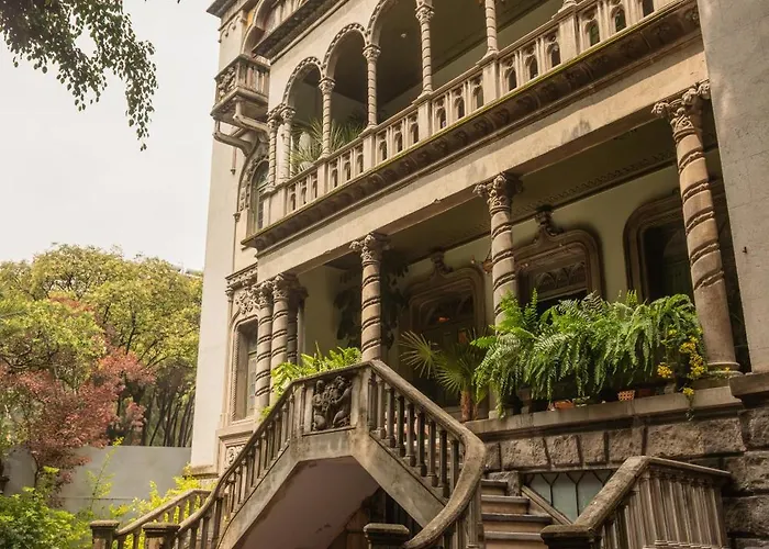 Maison Lezard Mexico City