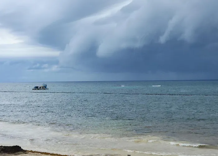Playa Las Palmas Tulum