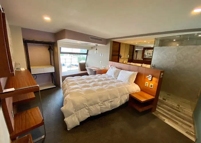 Hotel Cle Reforma Insurgentes Mexico City